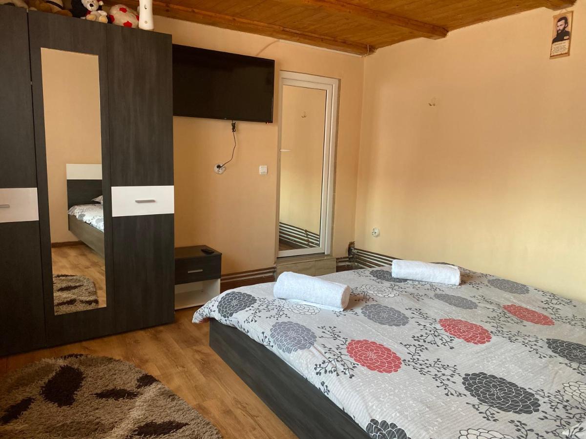 Casa Blendea Daniela Hotel Cîrţişoara Bagian luar foto
