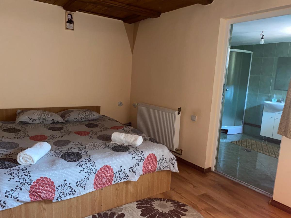 Casa Blendea Daniela Hotel Cîrţişoara Bagian luar foto