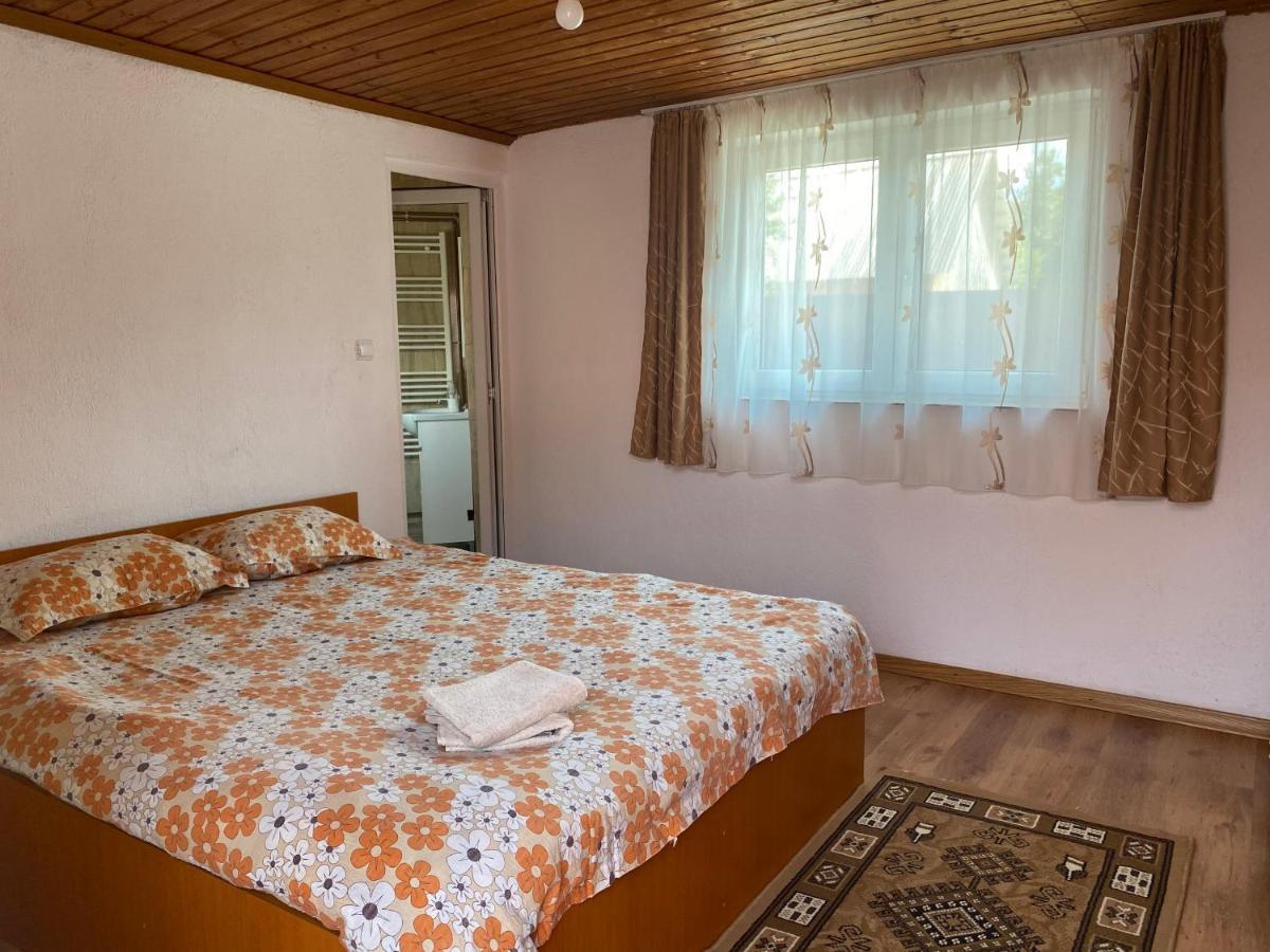 Casa Blendea Daniela Hotel Cîrţişoara Bagian luar foto