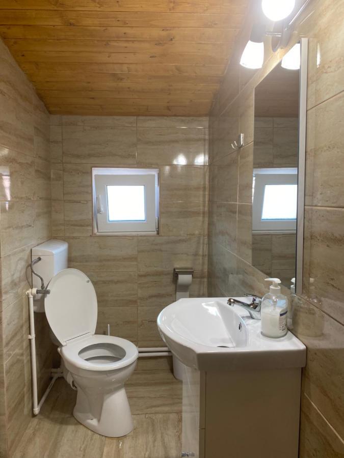 Casa Blendea Daniela Hotel Cîrţişoara Bagian luar foto
