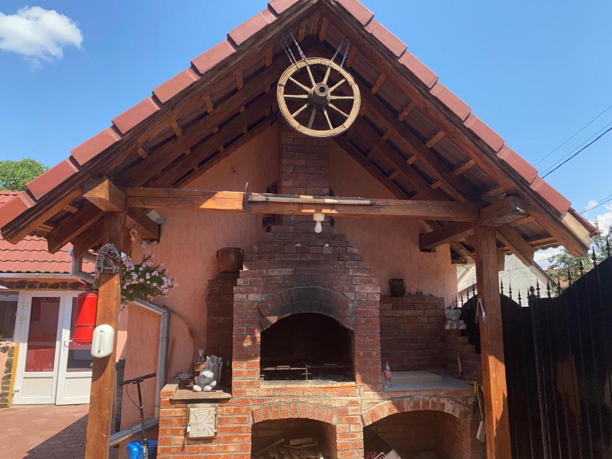 Casa Blendea Daniela Hotel Cîrţişoara Bagian luar foto