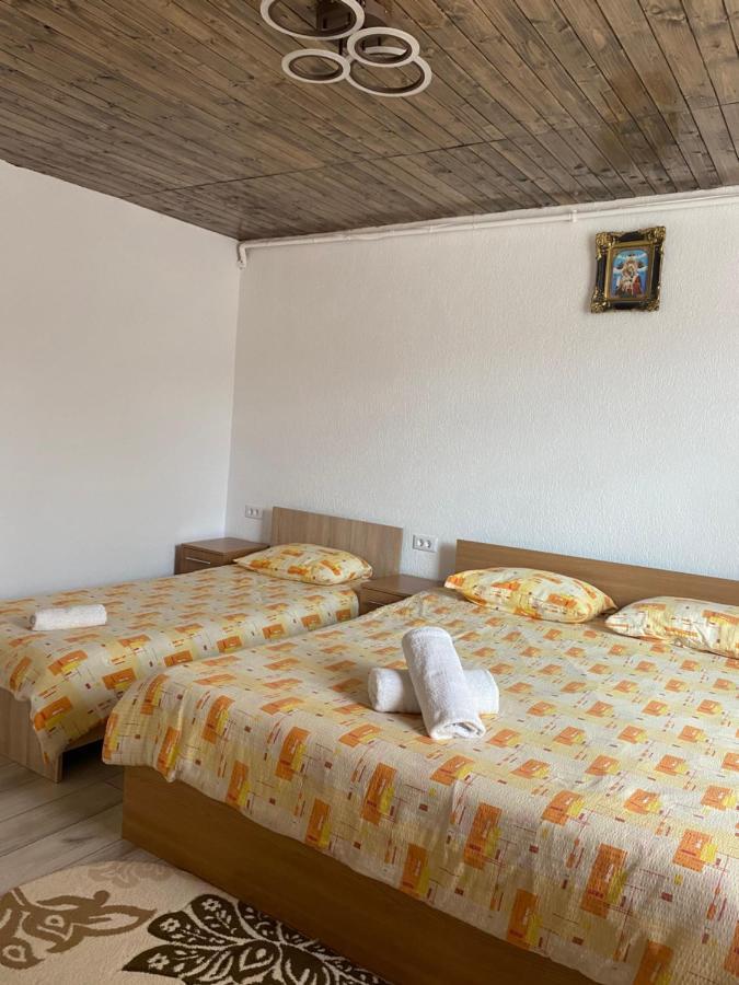 Casa Blendea Daniela Hotel Cîrţişoara Bagian luar foto