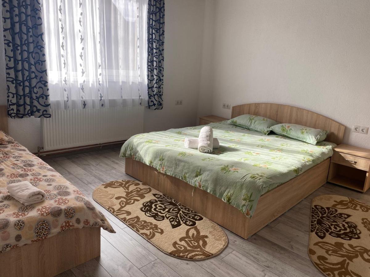 Casa Blendea Daniela Hotel Cîrţişoara Bagian luar foto