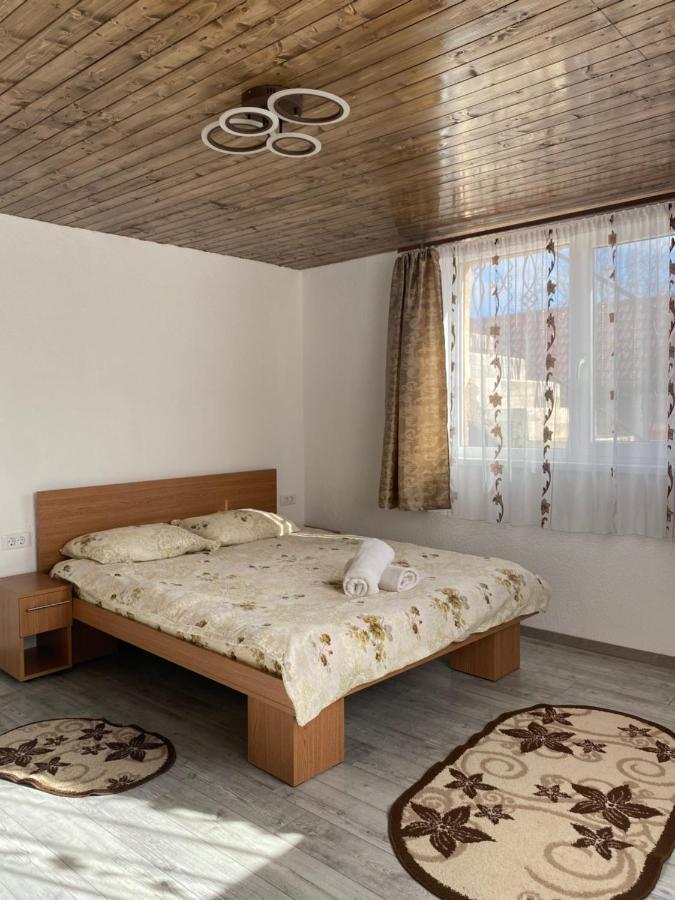 Casa Blendea Daniela Hotel Cîrţişoara Bagian luar foto