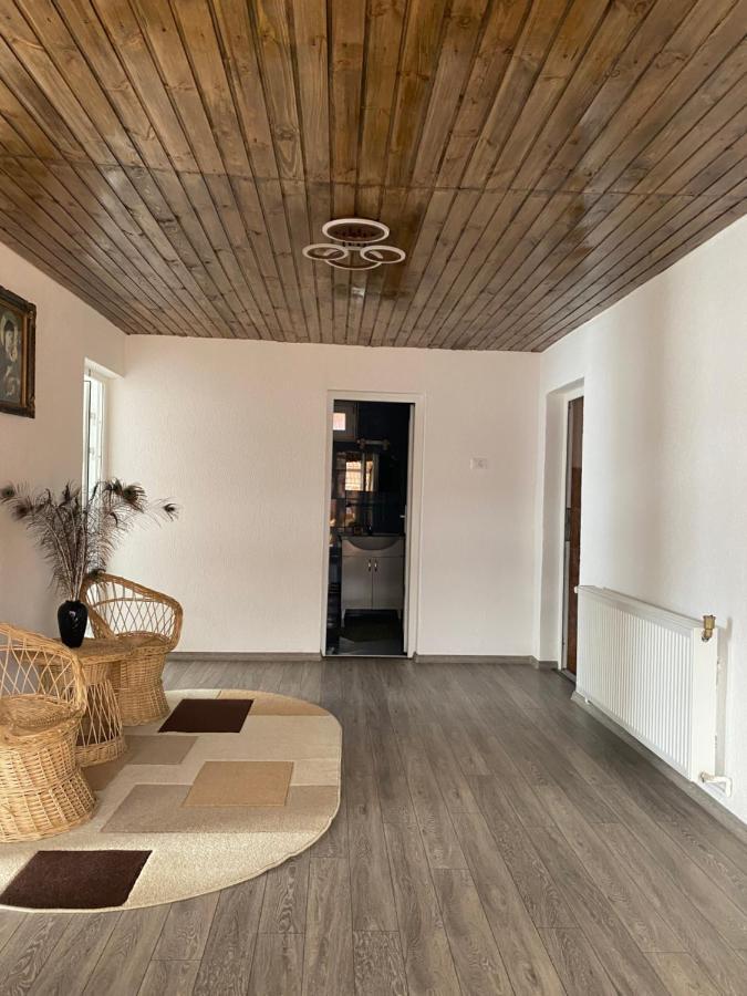 Casa Blendea Daniela Hotel Cîrţişoara Bagian luar foto